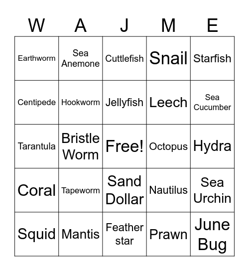Invertebrate A Bingo Card