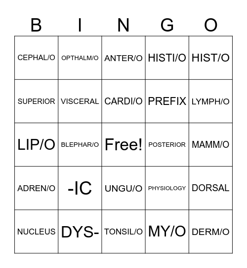 MT Ch 1,2 &5 Review Bingo Card