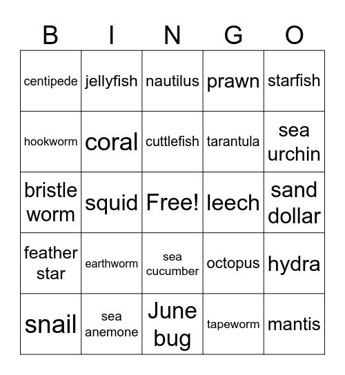 Zoology: Invertebrates A Bingo Card