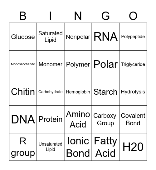 Macromolecules Bingo Card
