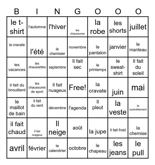 Leçon 3: Quel temps fait-il? Bingo Card