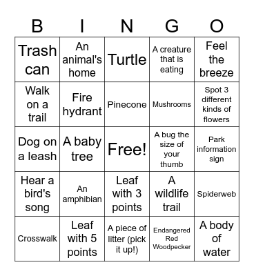 Nature Walk Bingo Card