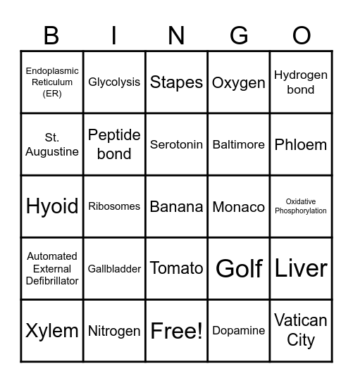 Trivia Bingo Card