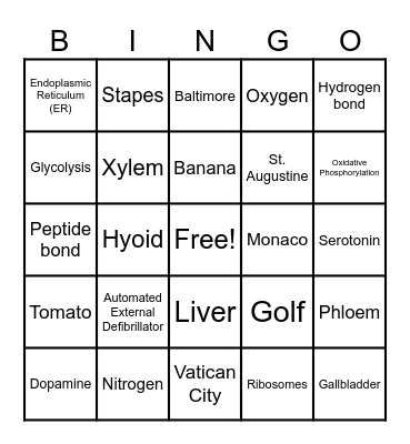 Trivia Bingo Card