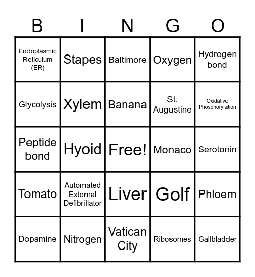 Trivia Bingo Card