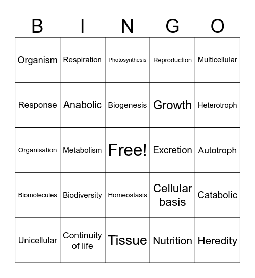 Characteristics of life Bingo Card