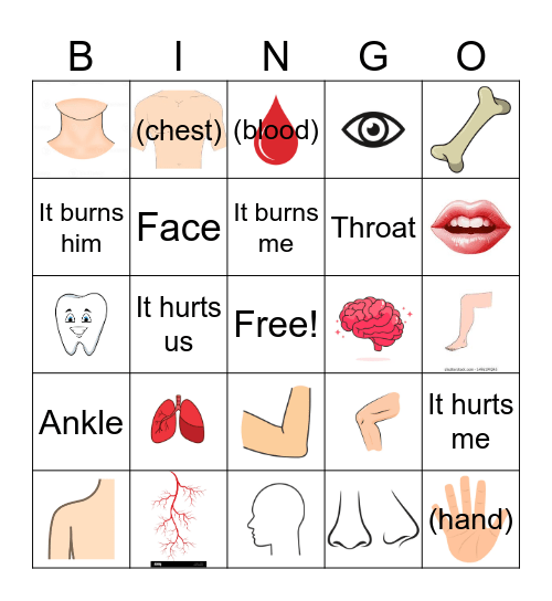 El Cuerpo Bingo Card