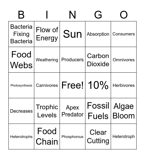 Matter and Energy Cycling Bingo Card