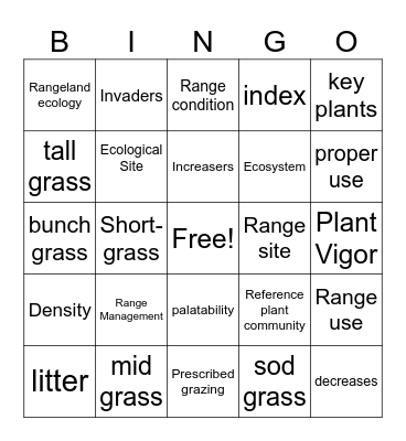 range terms Bingo Card