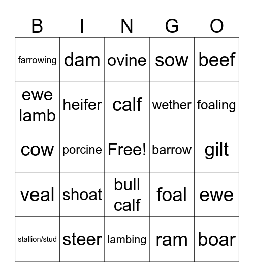 Livestock Terminology Bingo Card