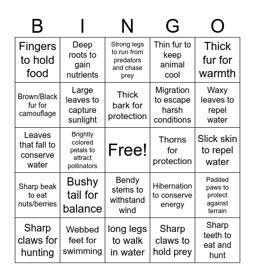 Adaptations Bingo Card