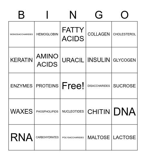 BIOMOLECULES Bingo Card