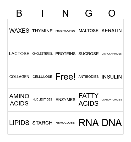 MACROMOLECULES Bingo Card