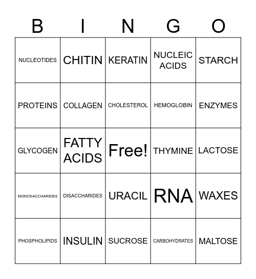 BIOMOLECULE Bingo Card