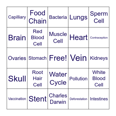 Biology Bingo Card