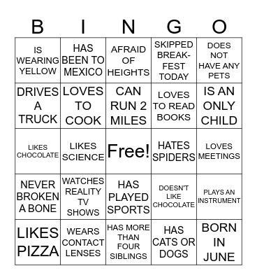 Icebreaker Bingo Card