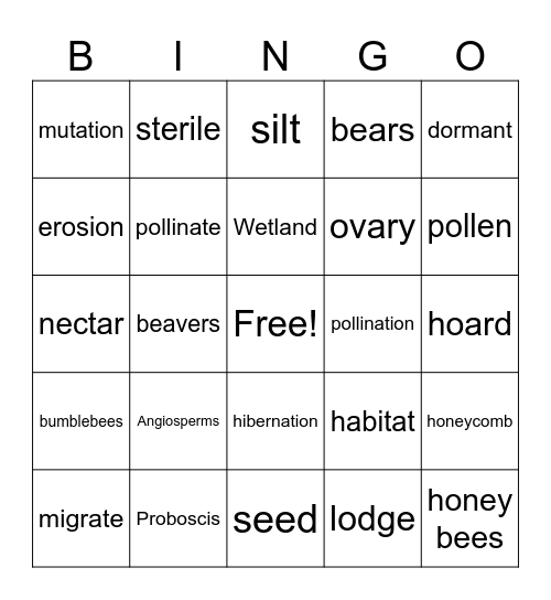 Daily Science Big Idea 1 Vocabulary Bingo Card