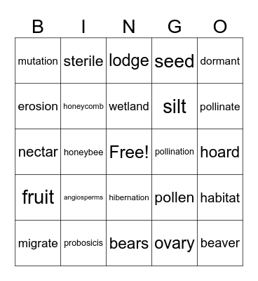 Big Idea 1 vocabulary Bingo Card