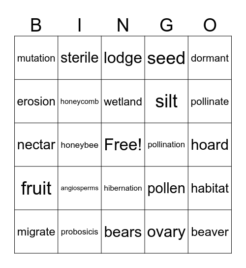 Big Idea 1 vocabulary Bingo Card