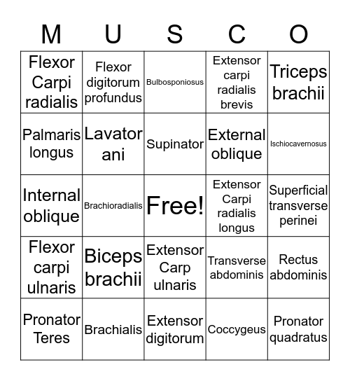 MUSCO Bingo Card