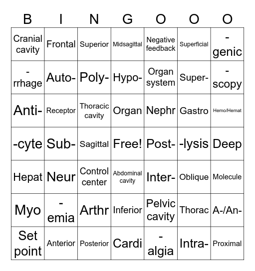 Anatomy Unit 1 Review Bingo Card