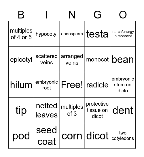 Seeds Bingo Card