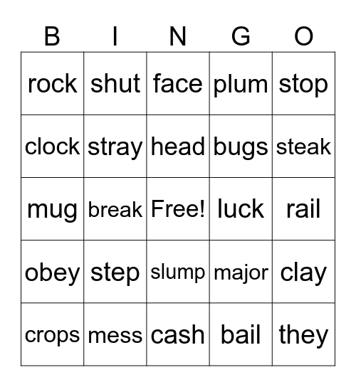 Araiza- spelling week 2 Bingo Card
