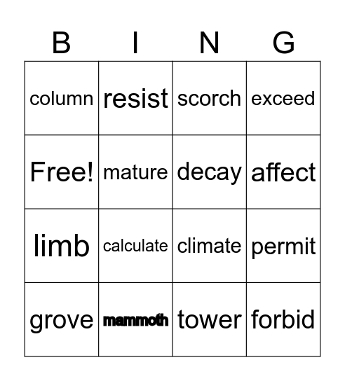 lesson 2 Bingo Card