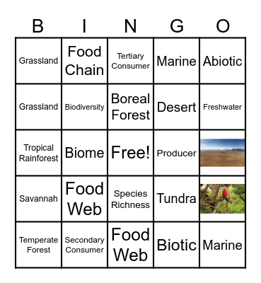 BIOMES Bingo Card
