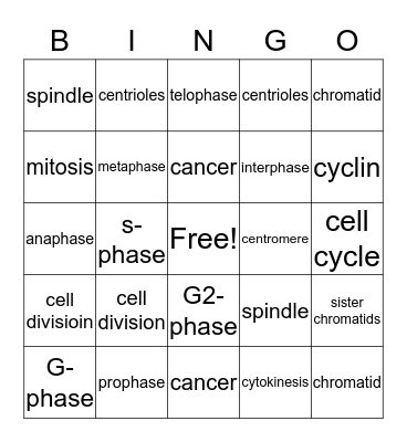 Cell division Bingo Card