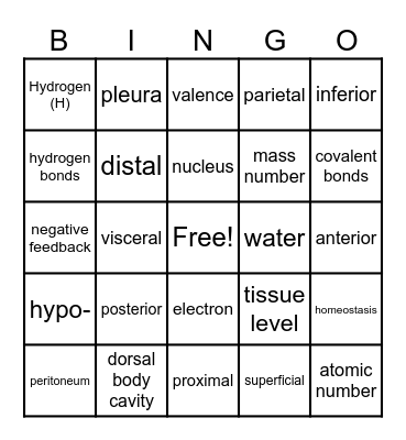A&P Session 1 Bingo Card