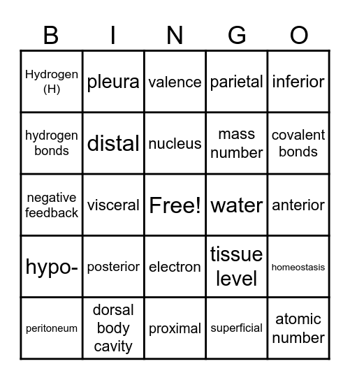 A&P Session 1 Bingo Card