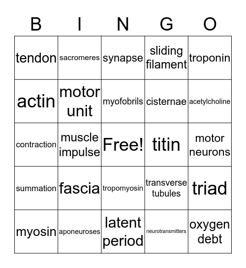Ch.9 Muscular System Bingo Card
