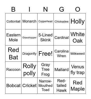 Nature Bingo Card