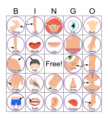 Human Body Bingo Card