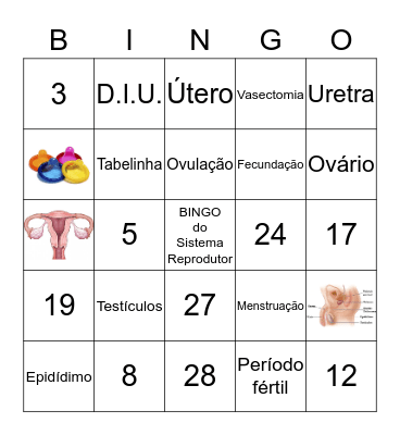 Bingo do Sistema Reprodutor Bingo Card