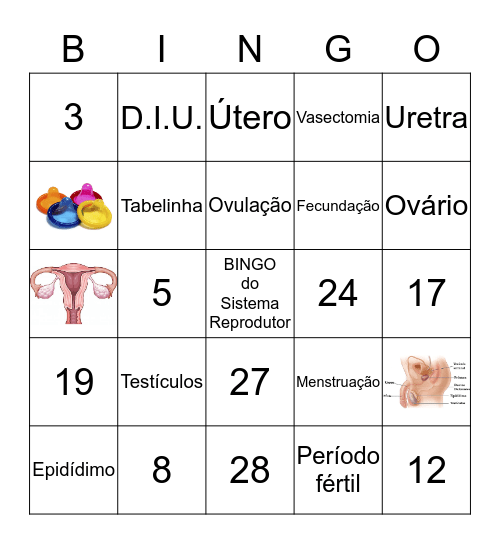 Bingo do Sistema Reprodutor Bingo Card