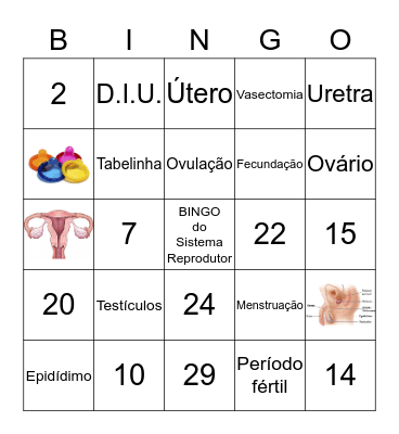 Bingo do Sistema Reprodutor Bingo Card