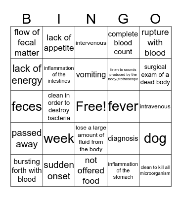 Gut Instincts Bingo Card