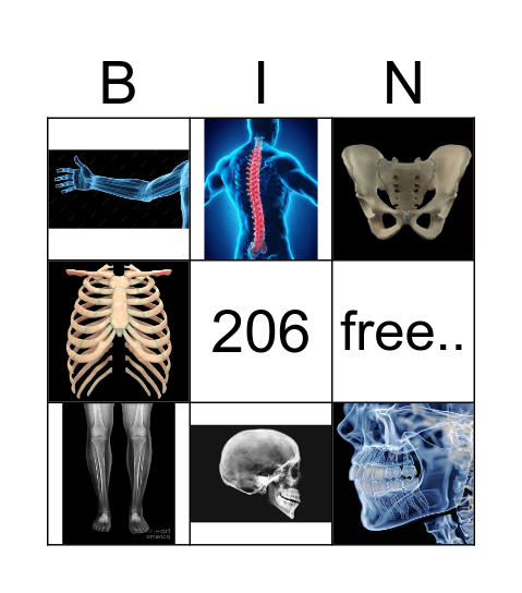 skeleton Bingo Card