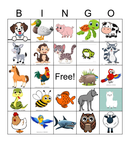 ANIMAL Bingo Card