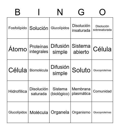 Bingo de conceptos Bingo Card