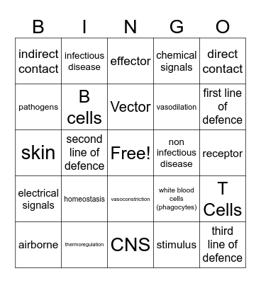 Revision Bingo Card