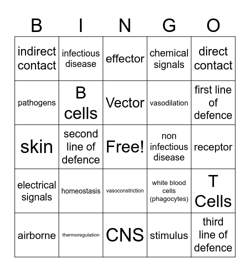 Revision Bingo Card
