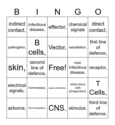 Revision Bingo Card