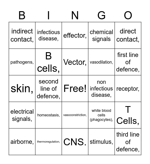 Revision Bingo Card