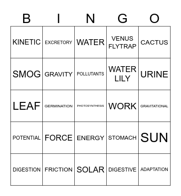 Science Bingo Card