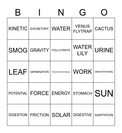Science Bingo Card