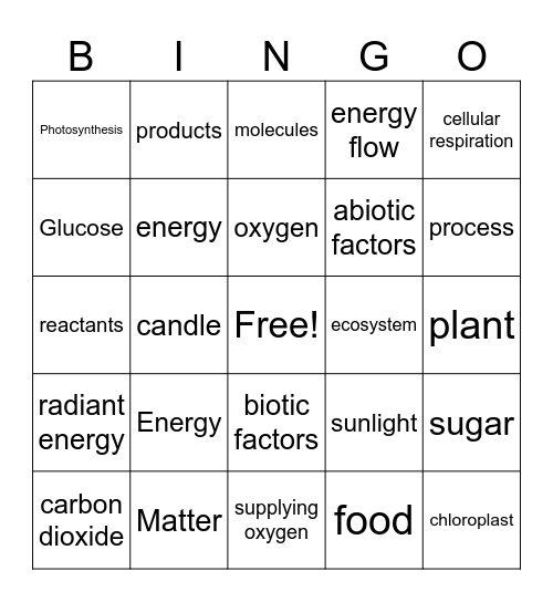 Photosynthesis Bingo Card