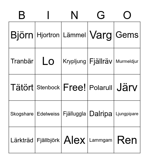 Fjällen Bingo Card